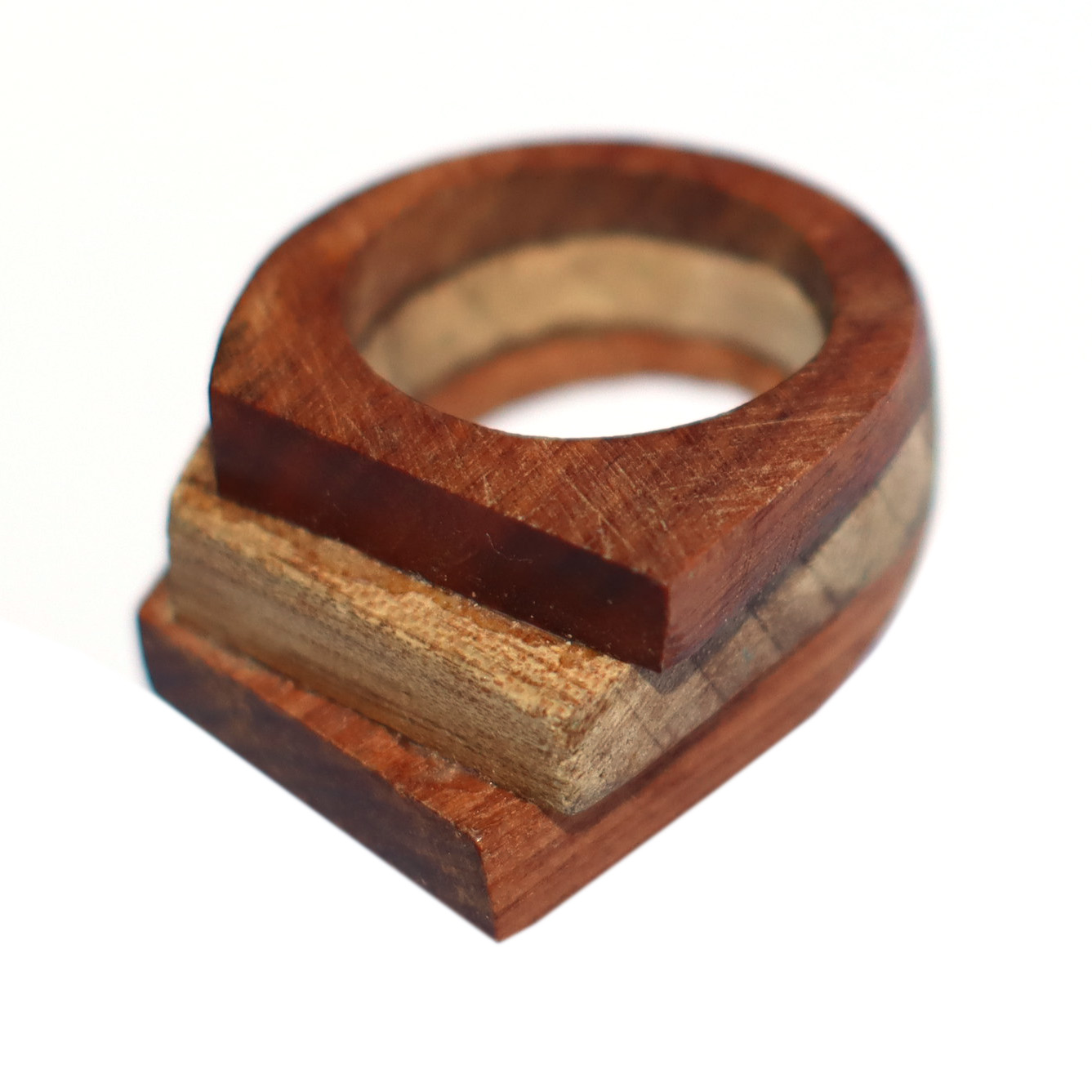 Anillo coihue, laurel, luma y plata 950