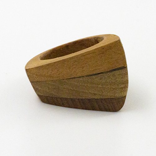 Anillo diseño coihue, laurel y luma
