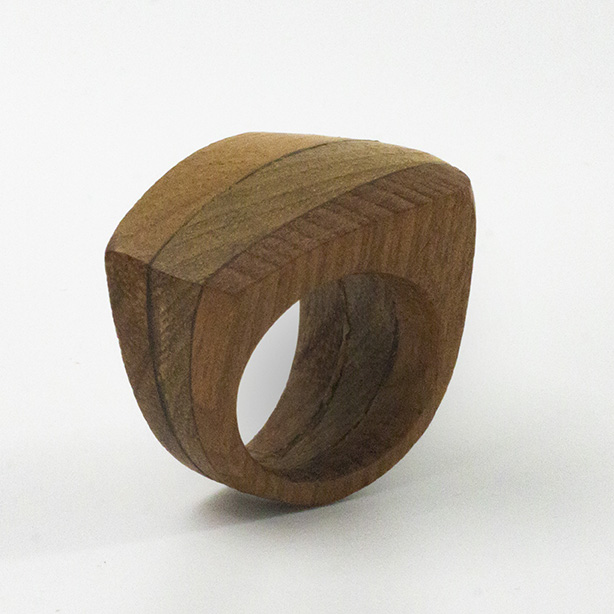 Anillo diseño coihue, laurel y luma